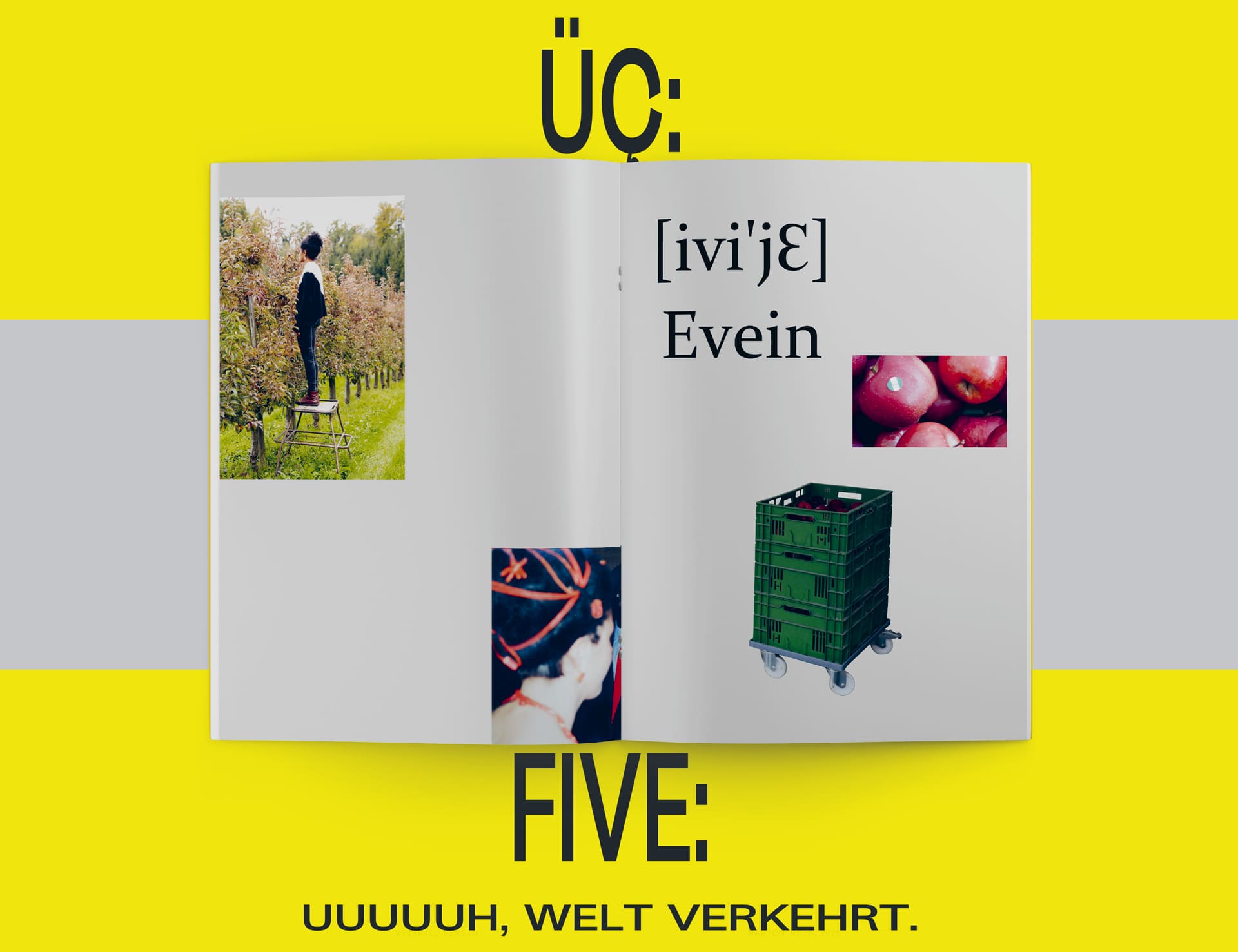 Mehr als Çevirmek: Sprachen verkehren